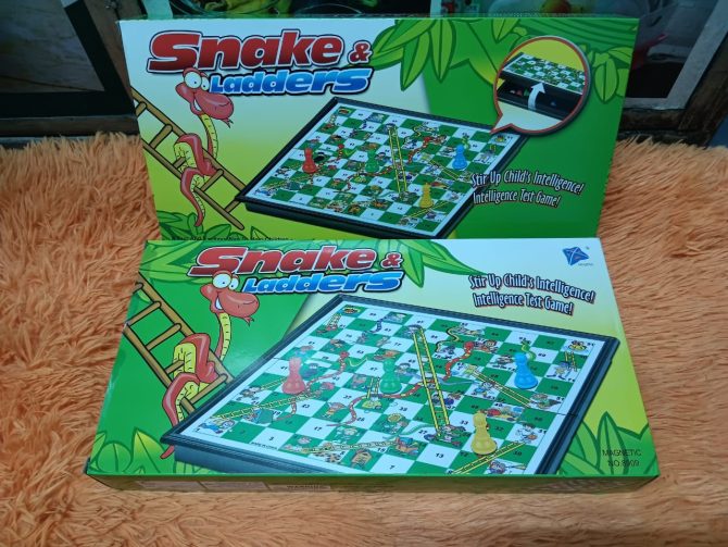 Snake and Ladder
